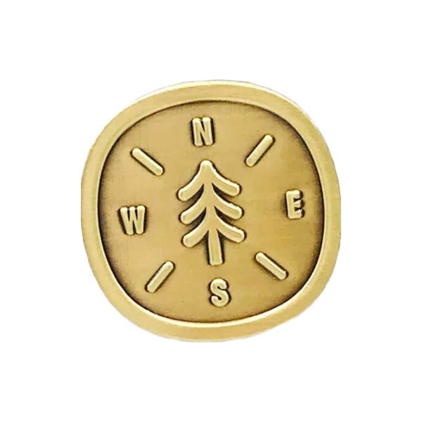 Compass Enamel Pin Fell Gold